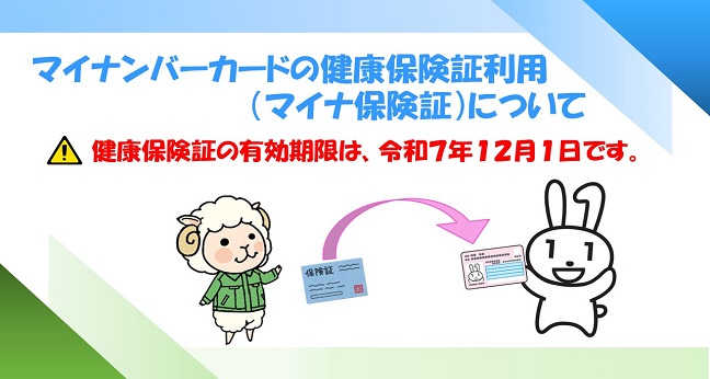マイナ保険証（R070815）